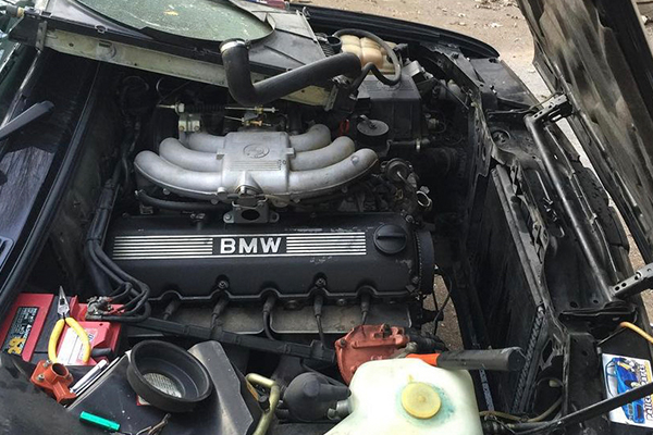 Unconditional Love: A BMW Story