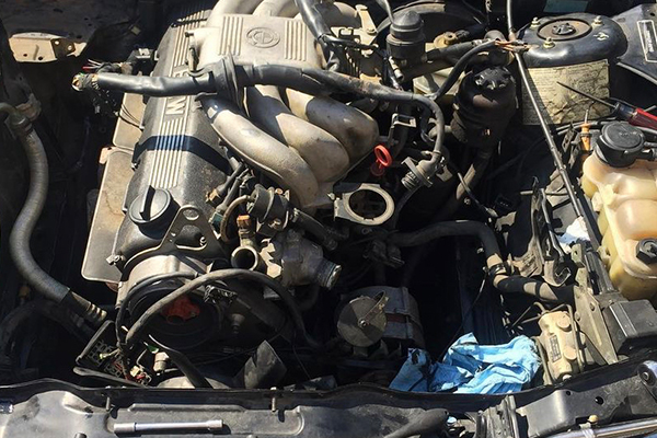 Unconditional Love: A BMW Story