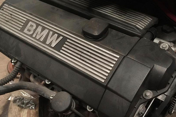 Unconditional Love: A BMW Story