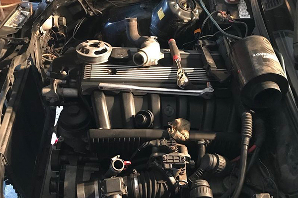 Unconditional Love: A BMW Story